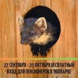 /DocLib3/Декада пожилого человека в Новосибирском зоопарке 2 300.jpg